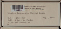 Image Associated With the Occurence